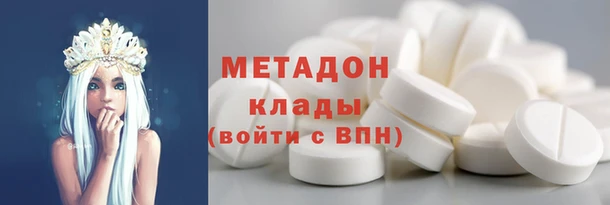 стаф Алзамай