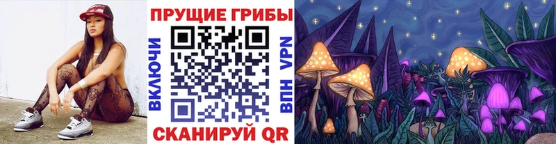 где можно купить наркотик  Дмитровск  Галлюциногенные грибы GOLDEN TEACHER 